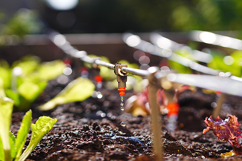 smart drip irrigation