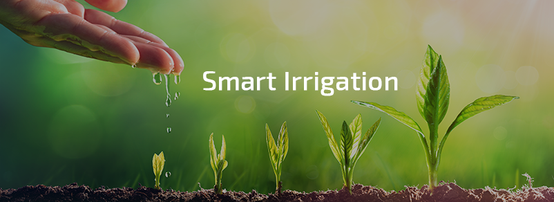 smart irrigation