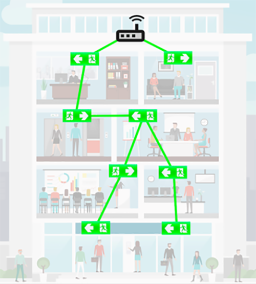 emergency lighting networks