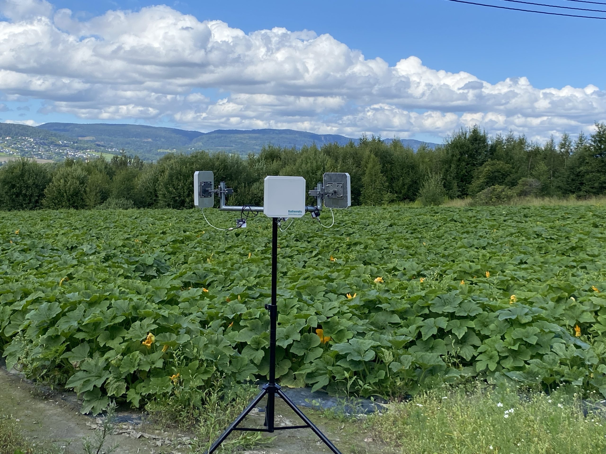 Sector Antennas Demonstration in Field Installation