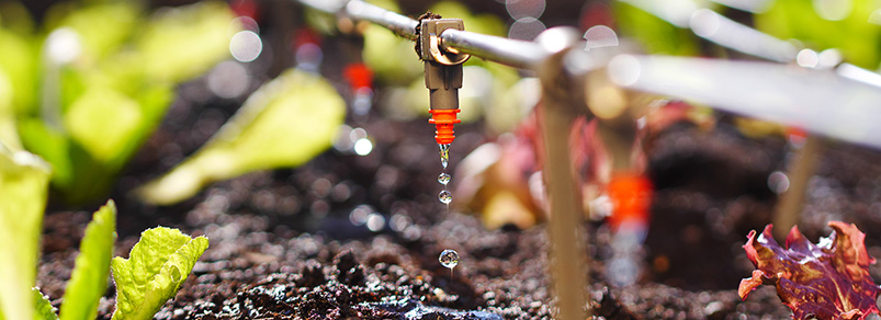 Wireless IoT Applications - Smart Irrigation