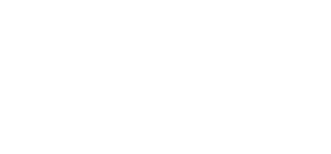 RIIM Mesh Logo